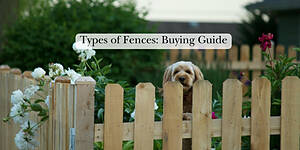 Photo: Types of Fences: Sutherlands Buying Guide